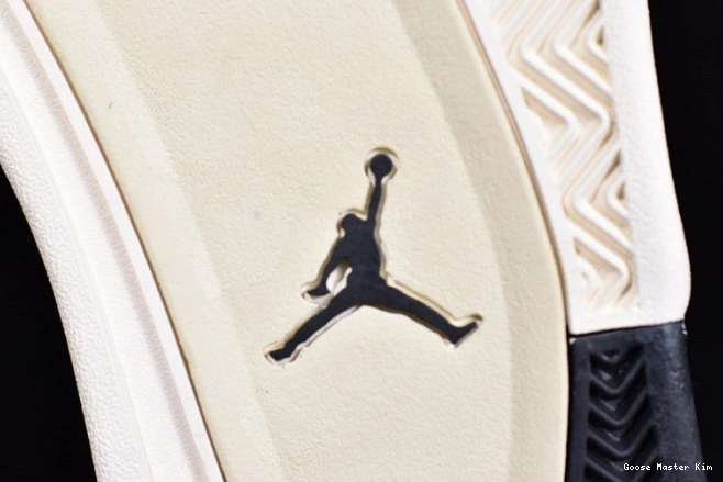 4 Air Jordan Mushroom AQ9129-200 0809